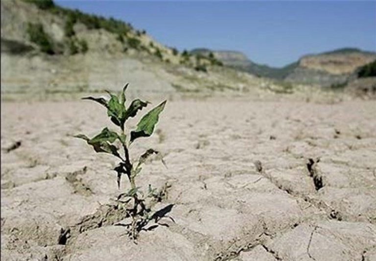 کشت محصولات کشاورزی زیر دریا/ راهکار دانشمندان برای کمبود آب در جهان