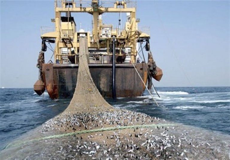تلاش برای یافتن صیادان گمشده در خلیج فارس نتیجه داد