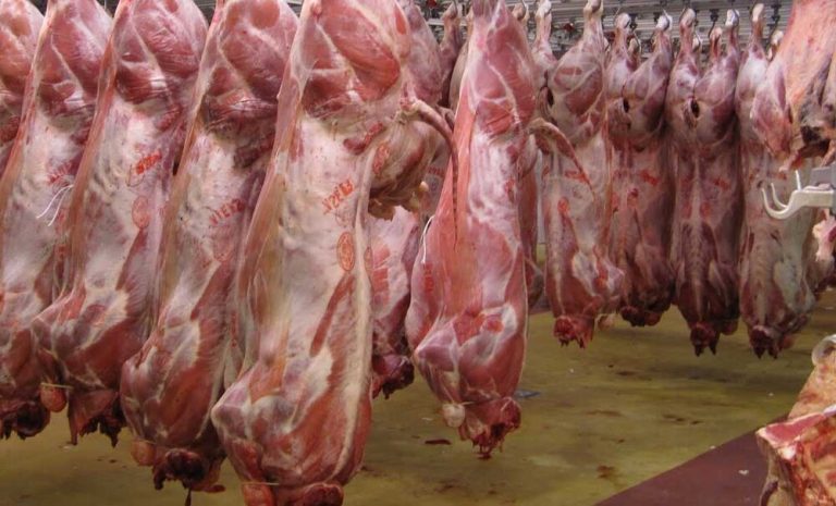 هشدار درباره مصرف گوشت قربانی و احتمال بروز تب کریمه کنگو
