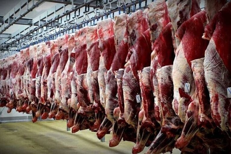 نگران بازار مرغ در اصفهان نیستیم/دام زنده باید حفظ شود