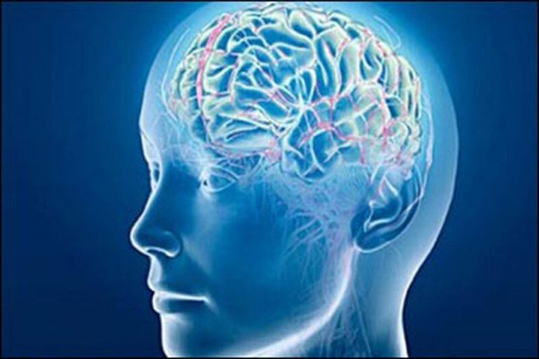 این کارها آلزایمر را ۵ سال به تعویق میاندازد