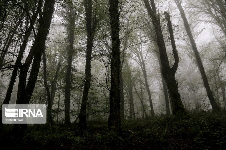 دمای هوا در نوار شمالی کشور تا ۷ درجه خنک میشود