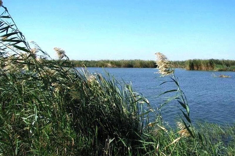 چرا هورالعظیم خشک شد؟