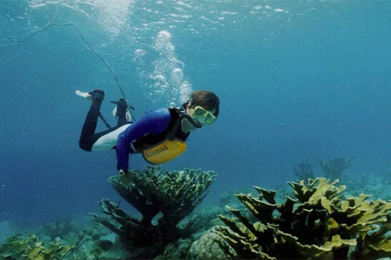 ببینید | با این دستگاه تنفسی با خیال راحت زیر آب شنا کنید