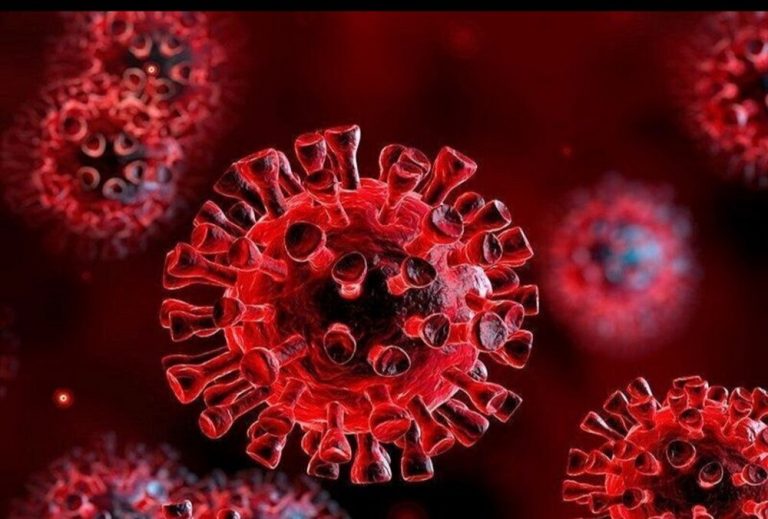 روند بستری بیماران کرونایی در بابل صعودی شد