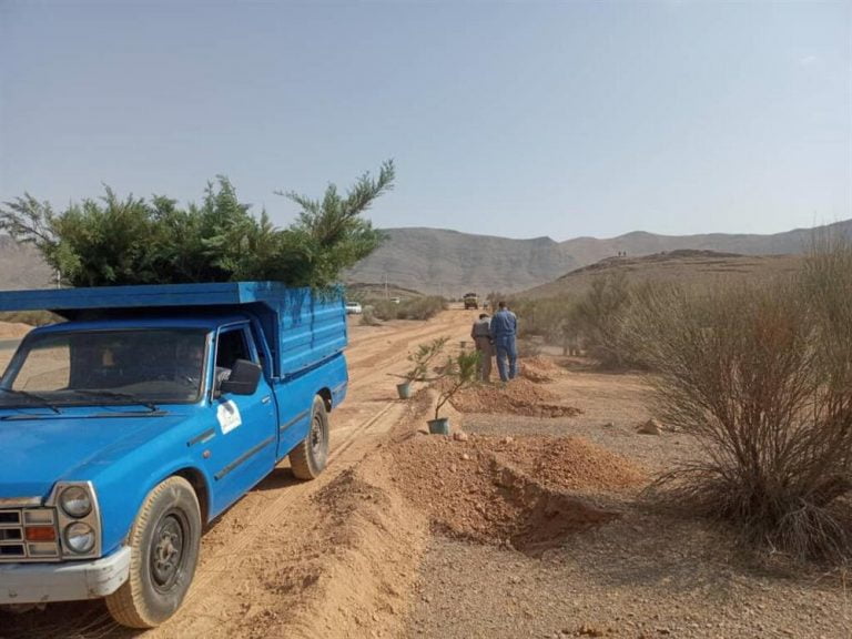 شایعات درباره قطع درختچههای بادام در ذوبآهن بیاساس است