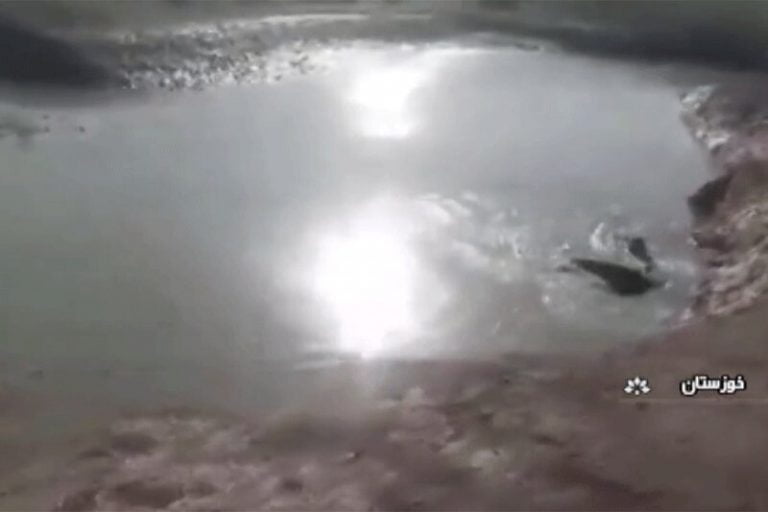 ببینید | پیدا شدن کوسه در رودخانه کرخه!