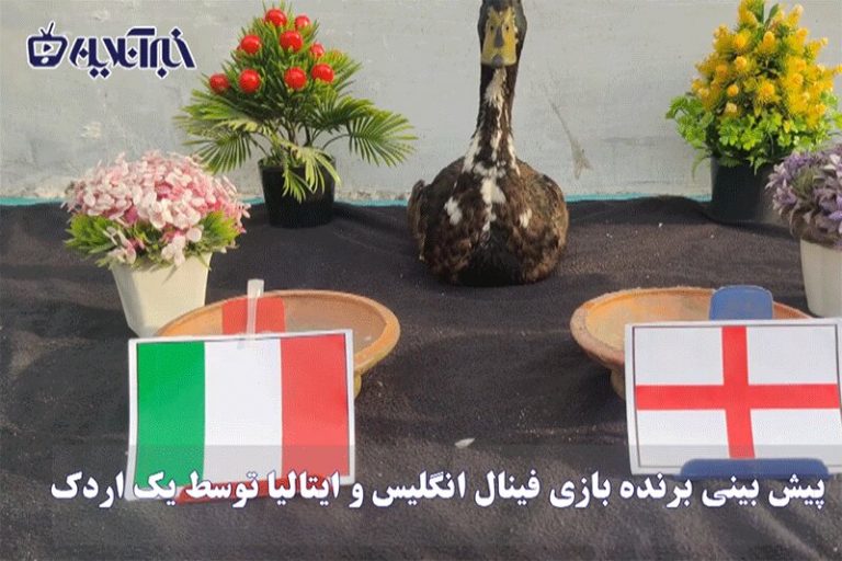 ببینید | پیش‌بینی نتیجه بازی فینال یورو 2020 توسط یک اردک!