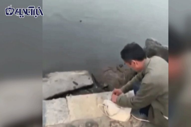 ببینید | معجزه محبت؛ مردی که روزی خود را با حیوانات تقسیم میکند