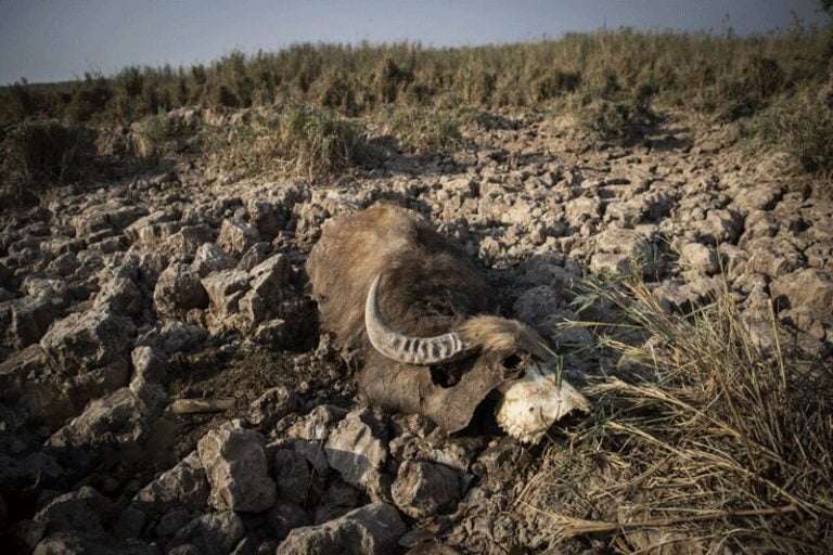 استاندار خوزستان: مشکل آبرسانی به ۷۰۰ روستا تا یکسال آینده برطرف میشود