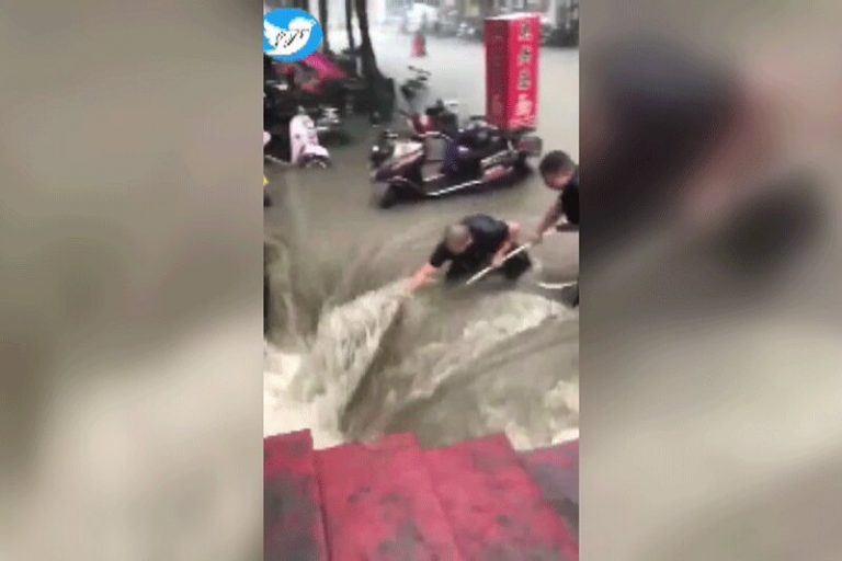 ببینید | لحظه دلهرهآور نجات یک زن از سیل در ژنگژوی چین