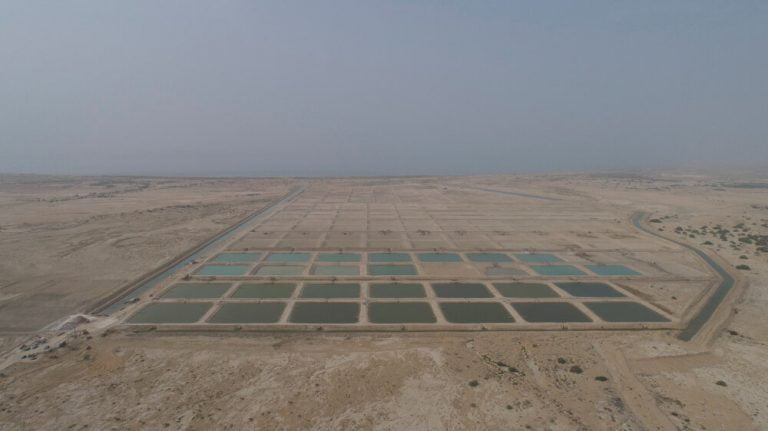 نقش بارز قشم در افزایش تولید آبزیان کشور