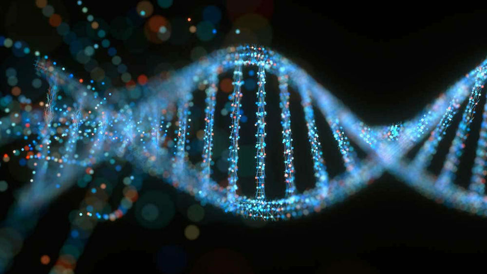 آزمایش DNA