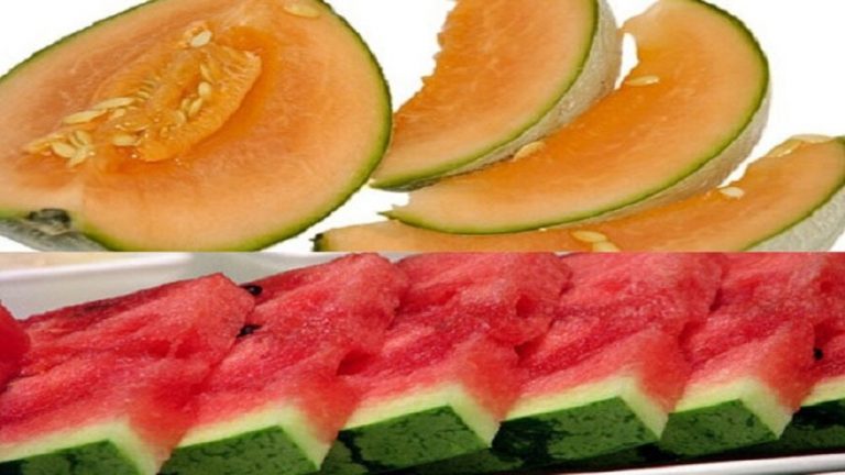 بیماریهایی که هندوانه و طالبی دوای آنهاست