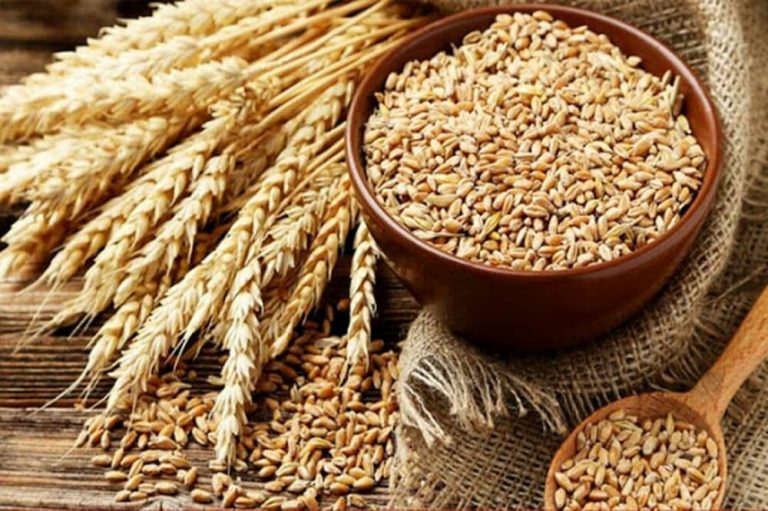 یزدیها از ابتدای امسال نزدیک به ۱۲ میلیارد تومان زکات دادهاند