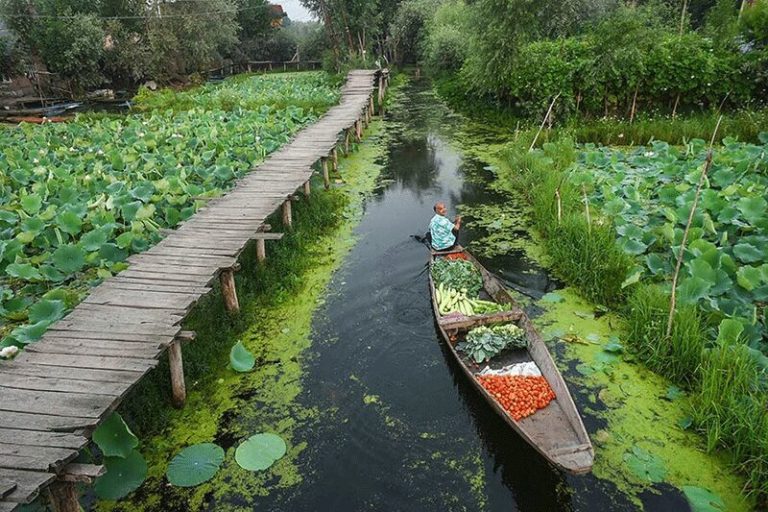 عکس | تصاویری از بهشت شناور؛ زندگی متفاوت مردم دریاچه دال در کشمیر