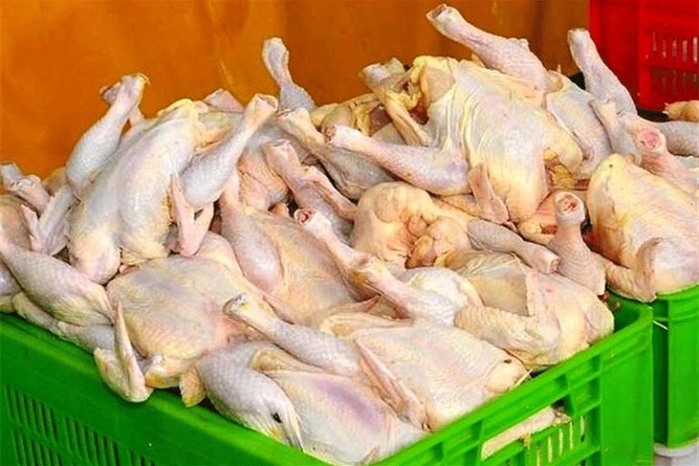 ببینید | موضوع توزیع مرغ با استفاده از شبکه پست چیست؟