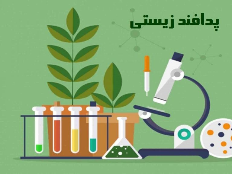 برگزاری دوره پدافند زیستی ویژه کارکنان سازمان منطقه آزاد قشم