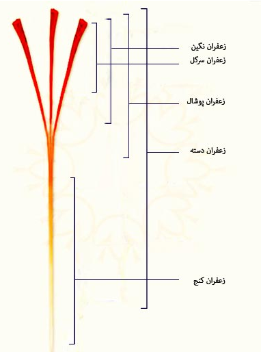 راهنمای خرید زعفران درجه یک