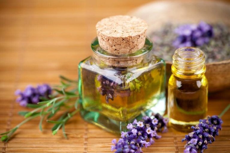 سه مسکّن طبیعی شگفتانگیز
