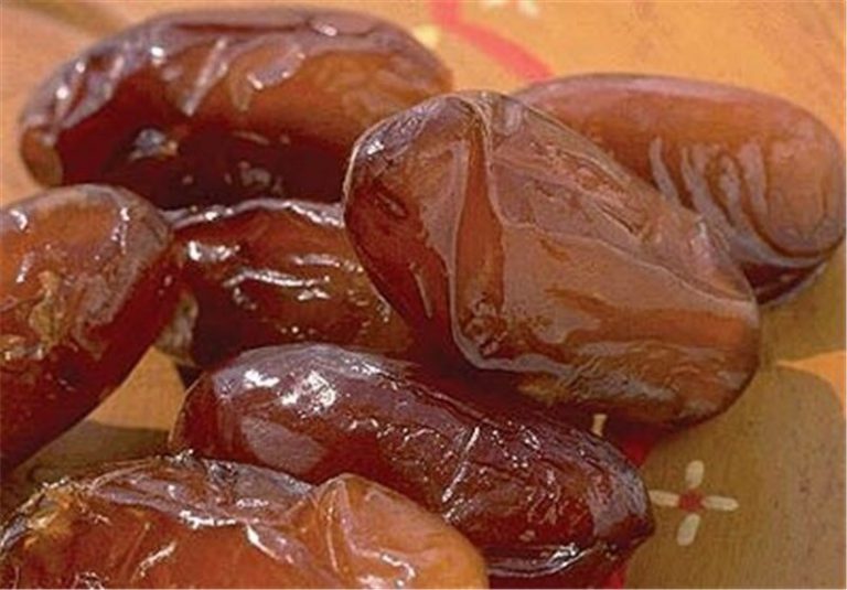 پیش بینی برداشت ۴۸ هزار تن خرما از نخلستانهای آبادان