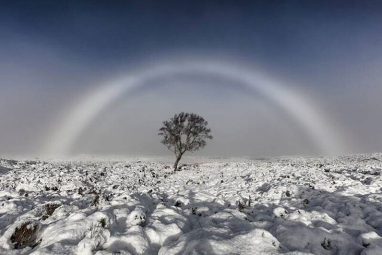 تصاویر | عکسهای نامزد دریافت جایزه جهانی عکاسی آبوهوا