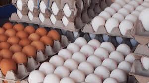 قیمت هر شانه تخم مرغ به ۴۵ هزار تومان رسید