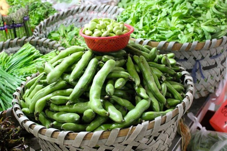بیماران کرونایی لبنیات و حبوبات نخورند/ تخم مرغ برای مقابله با کرونا موثر است