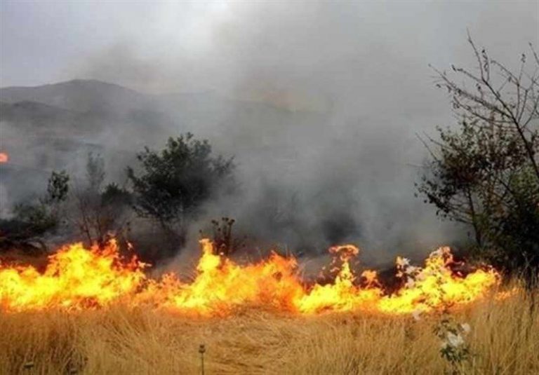 کنترل آتشسوزی جنگلهای «نیر»؛ خطر همچنان وجود دارد