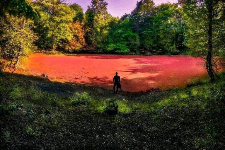 تصاویر | سفر به سرخ‌ترین تالاب ایران