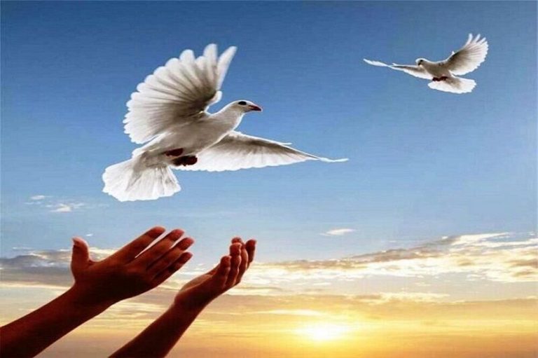 زمینه آزادی ۱۵۶ مددجوی در نوشهر فراهم شد