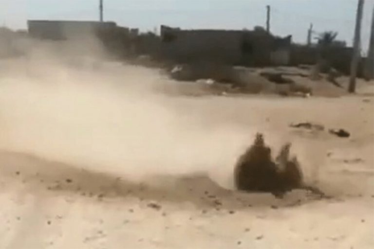 ببینید | ماجرای جوشیدن خاک در بوشهر