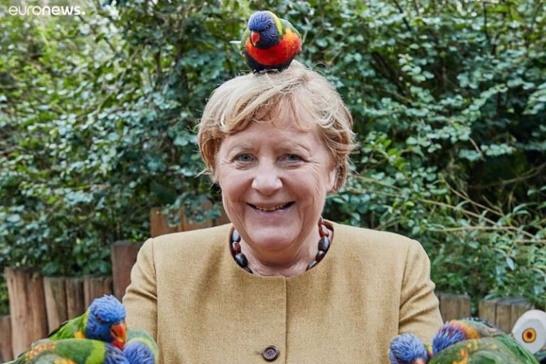 ببینید | قابی دیدنی از آنگلا مرکل در حین غذا دادن به طوطیها