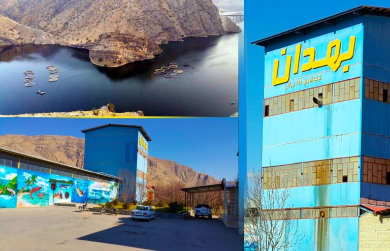 افزایش ۹۰۰ درصدی صادرات خوراک آبزیان