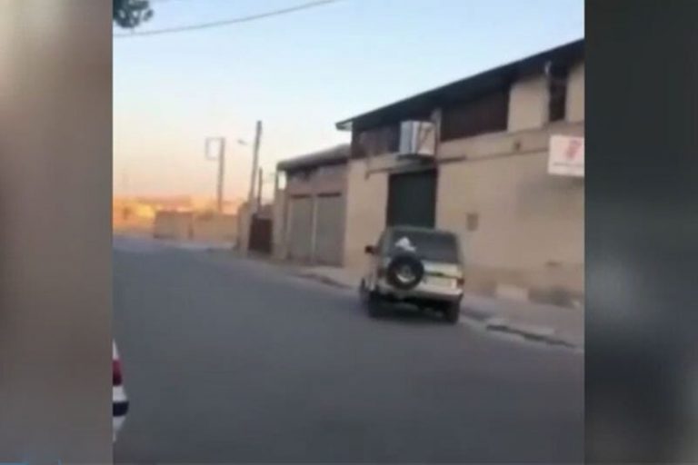 ببینید | بدشانسی عجیب یک راننده حین رانندگی