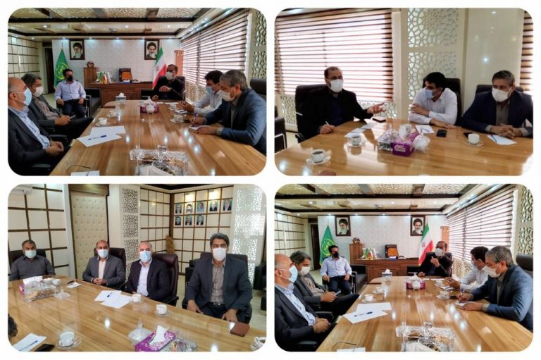 انعقاد قرارداد کشت ذرت علوفه ای راهکاری برای کنترل قیمت