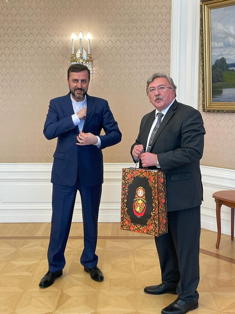 نماینده روسیه در دیدار خداحافظی با غریبآبادی: ارزش زیاد برای این همکاری قائل هستم کاظم/عکس