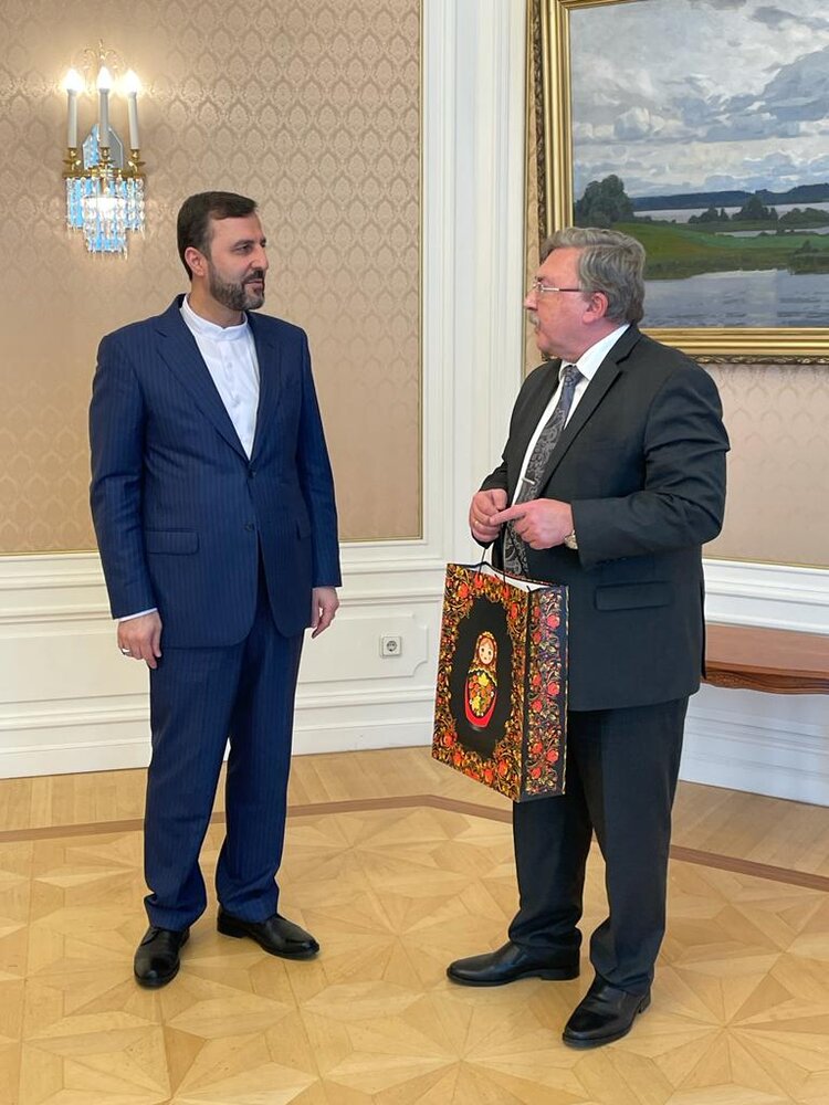 نماینده روسیه در دیدار خداحافظی با غریبآبادی: ارزش زیاد برای این همکاری قائل هستم کاظم/عکس