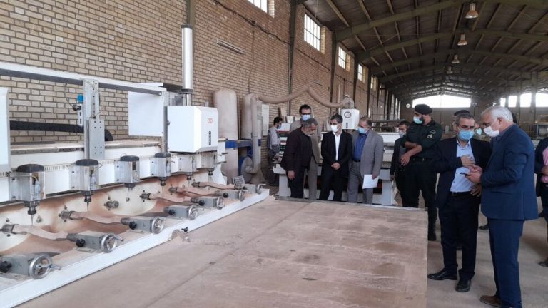 بازدید معاون وزیر صنعت، معدن و تجارت از ” صنایع چوب حیدرهایی
