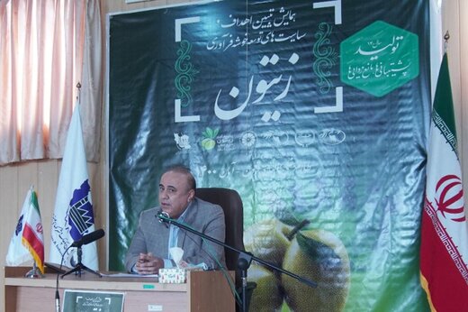  برگزاری همایش تببین اهداف و سیاستهای خوشه فرآوری زیتون قزوین