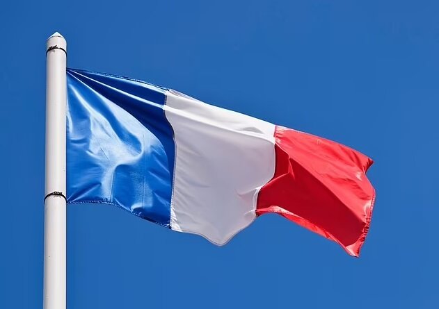 مکرون رنگ پرچم فرانسه را تغییر داد!/عکس