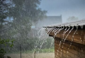 بارندگی نسبت به سال گذشته ۴۸ درصد رشد داشته است