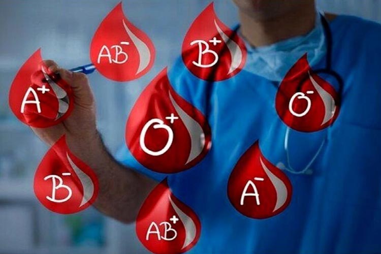 گروه خونی همگانی در راه است؛ آنزیمی که ناهمخوانی گروههای خونی را از بین میبرد