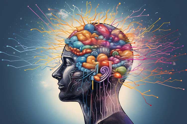 چرا برخی تصاویر را فراموش میکنیم و برخی را به خاطر میسپاریم؟