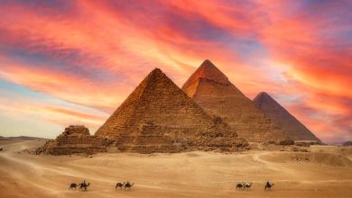 کشف مومیایی‌های جدید و اسرار بیماری‌ها در مصر باستان