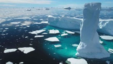 فوریه ۲۰۲۵: رکورد تازهای از کاهش یخ قطب جنوب ثبت شد!