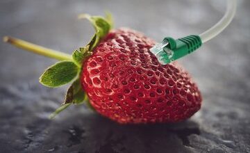 فکر میکنید وزن واقعی اینترنت چقدر است؟