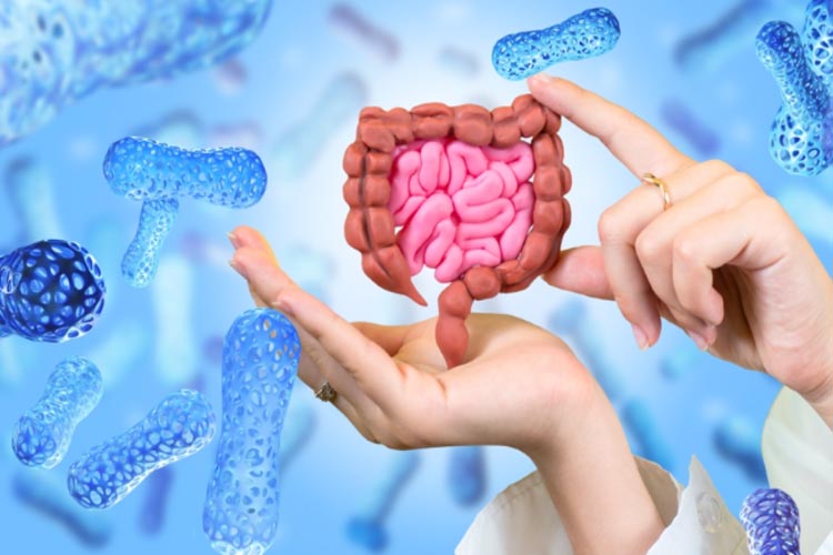 نکاتی برای مراقبت از سلامت روده