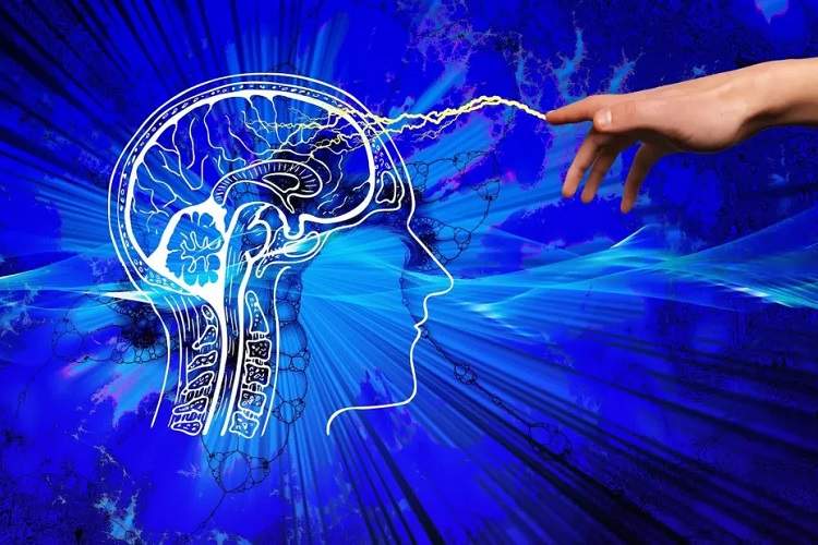 همکاری مایکروسافت و استارتاپ سوئیسی برای توسعه هوش مصنوعی شبیه به مغز انسان