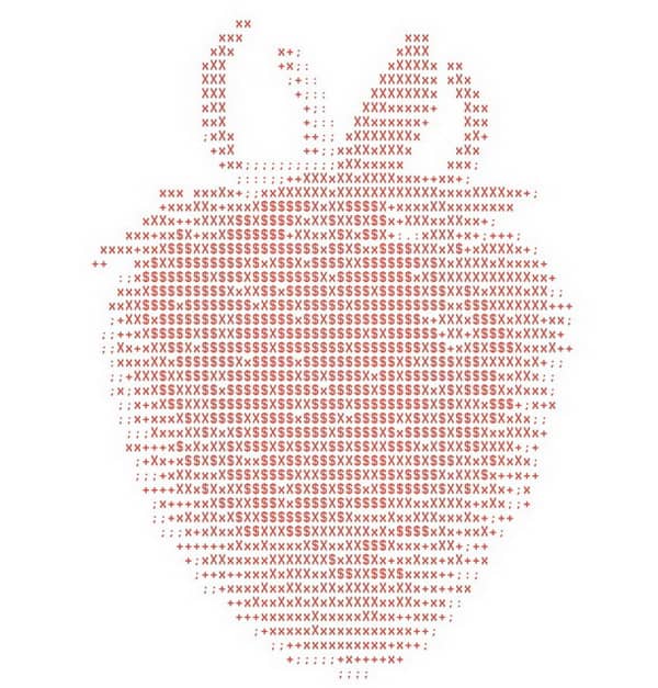 وزن اینترنت